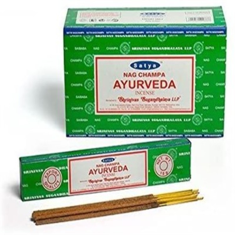 SATYA AYURVEDA (400 x 324)