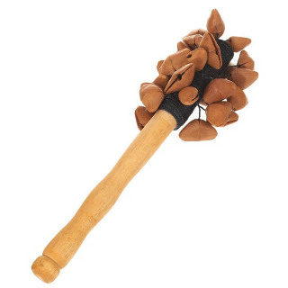 Shaker Fruit Cna cha